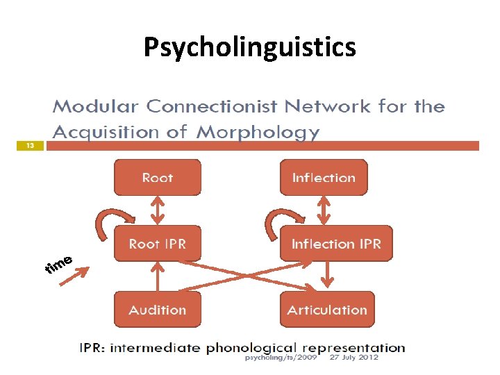 Psycholinguistics 