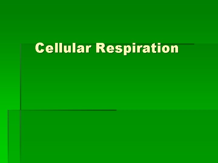 Cellular Respiration 