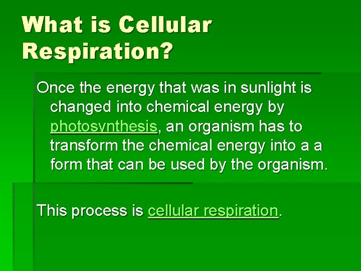 What is Cellular Respiration? Once the energy that was in sunlight is changed into