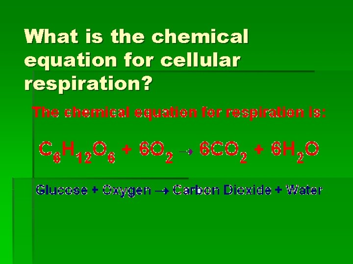 What is the chemical equation for cellular respiration? 