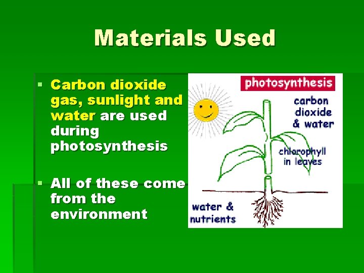 Materials Used § Carbon dioxide gas, sunlight and water are used during photosynthesis §