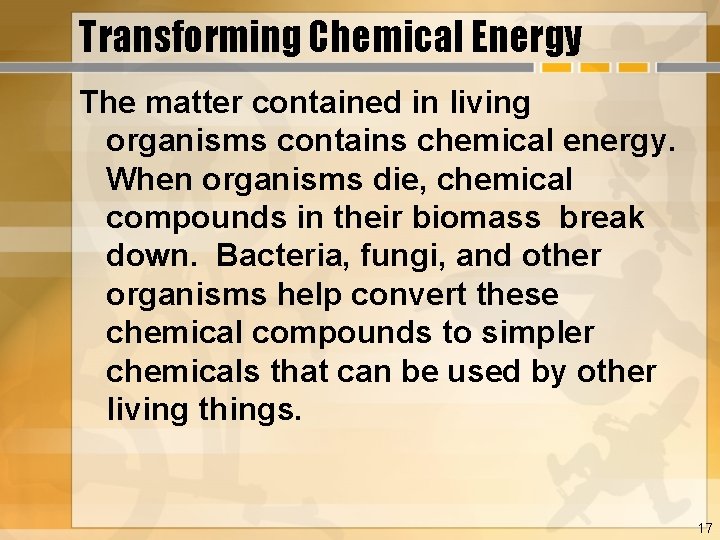 Transforming Chemical Energy The matter contained in living organisms contains chemical energy. When organisms