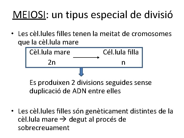 MEIOSI: un tipus especial de divisió • Les cèl. lules filles tenen la meitat MEIOSI: un tipus especial de divisió • Les cèl. lules filles tenen la meitat
