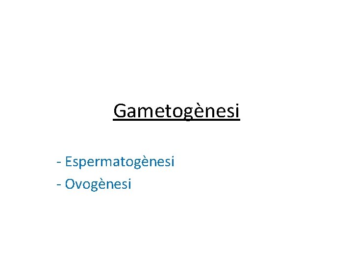 Gametogènesi - Espermatogènesi - Ovogènesi Gametogènesi - Espermatogènesi - Ovogènesi