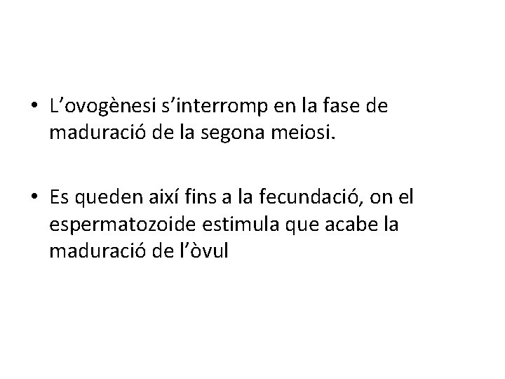 • L’ovogènesi s’interromp en la fase de maduració de la segona meiosi. • • L’ovogènesi s’interromp en la fase de maduració de la segona meiosi. •