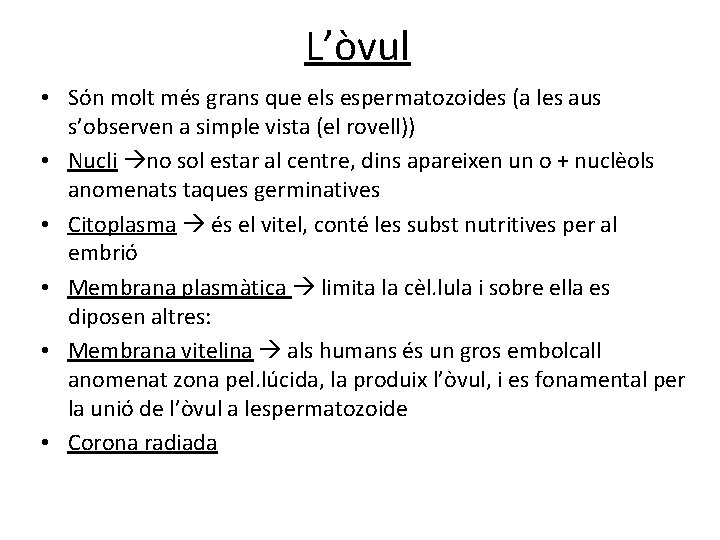 L’òvul • Són molt més grans que els espermatozoides (a les aus s’observen a L’òvul • Són molt més grans que els espermatozoides (a les aus s’observen a