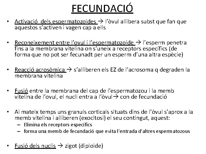FECUNDACIÓ • Activació dels espermatozoides l’òvul allibera subst que fan que aquestos s’activen i FECUNDACIÓ • Activació dels espermatozoides l’òvul allibera subst que fan que aquestos s’activen i
