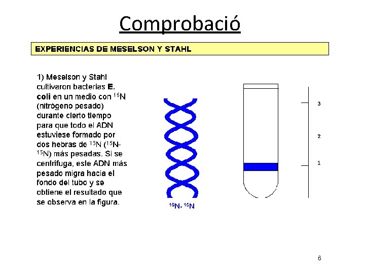 Comprobació Comprobació