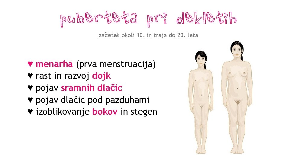 začetek okoli 10. in traja do 20. leta ♥ menarha (prva menstruacija) ♥ rast