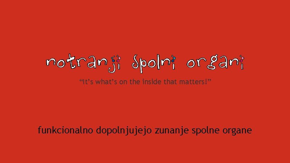 “It’s what’s on the inside that matters!” funkcionalno dopolnjujejo zunanje spolne organe 