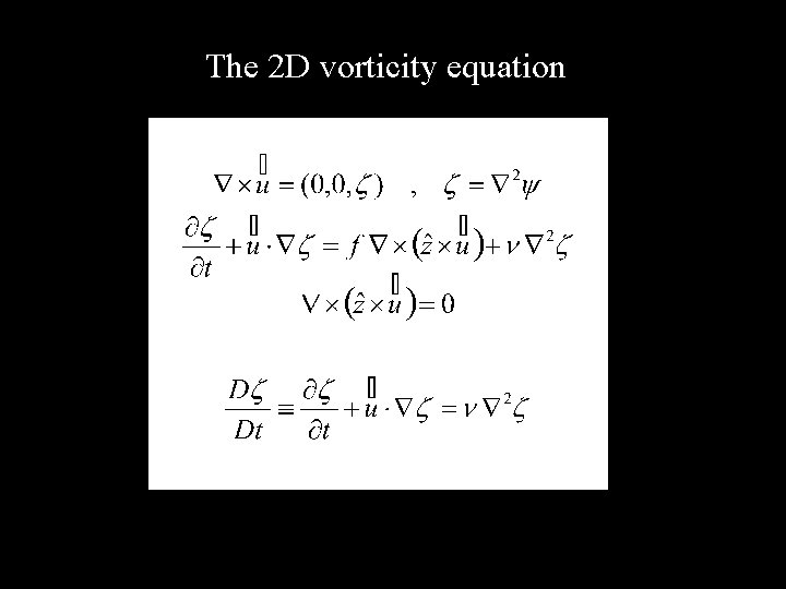 The 2 D vorticity equation 