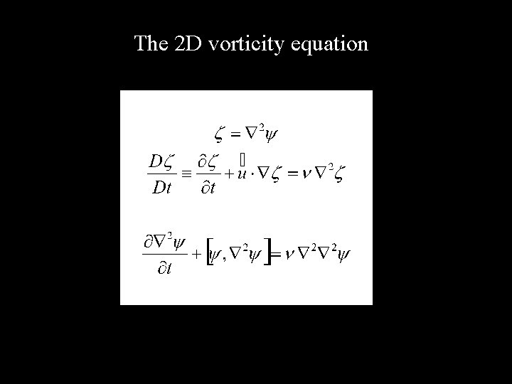 The 2 D vorticity equation 