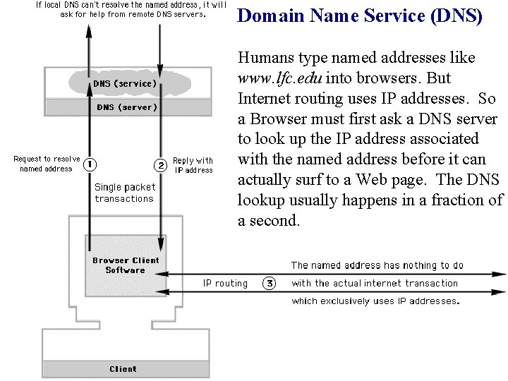 Domain Name Service (DNS) Humans type named addresses like www. lfc. edu into browsers.