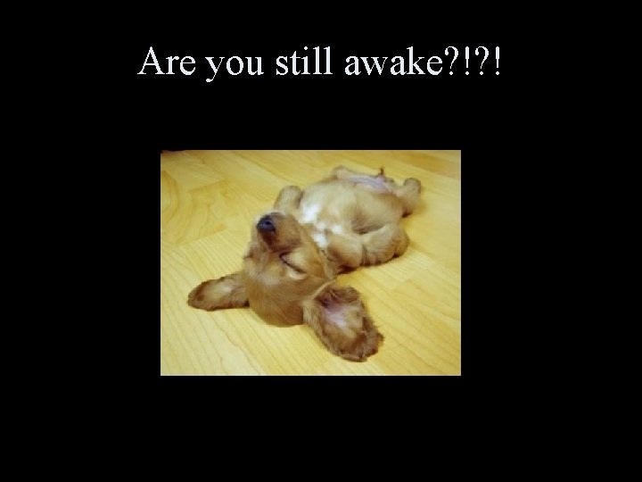 Are you still awake? !? ! Are you still awake? !? !