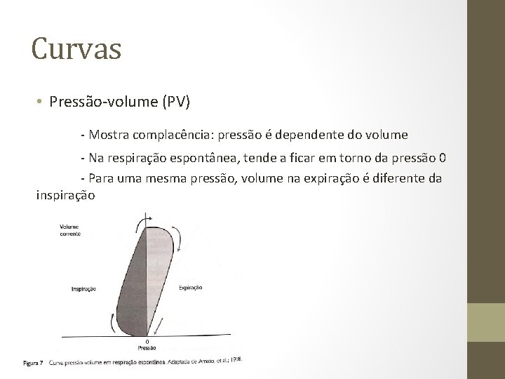 Curvas • Pressão-volume (PV) - Mostra complacência: pressão é dependente do volume - Na