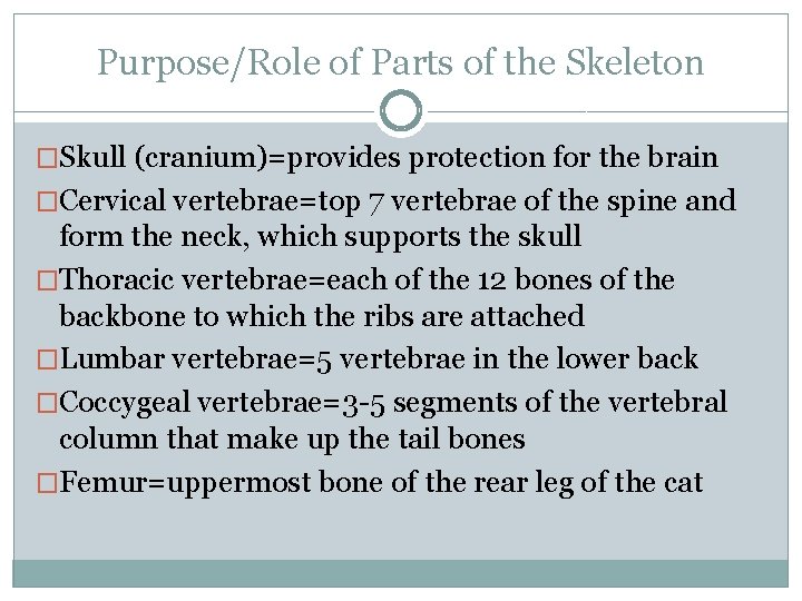 Purpose/Role of Parts of the Skeleton �Skull (cranium)=provides protection for the brain �Cervical vertebrae=top