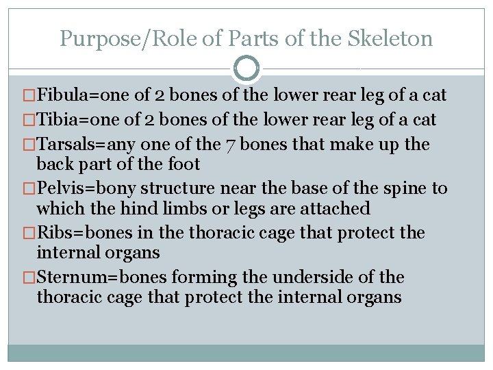 Purpose/Role of Parts of the Skeleton �Fibula=one of 2 bones of the lower rear