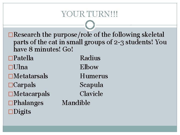 YOUR TURN!!! �Research the purpose/role of the following skeletal parts of the cat in