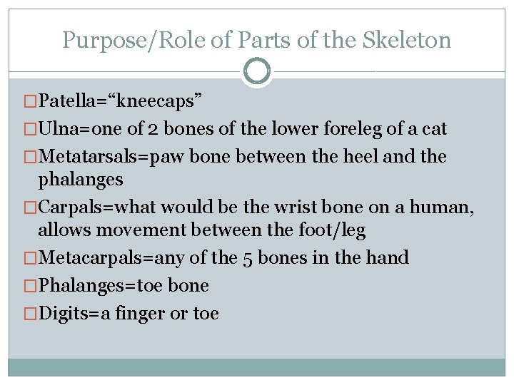 Purpose/Role of Parts of the Skeleton �Patella=“kneecaps” �Ulna=one of 2 bones of the lower