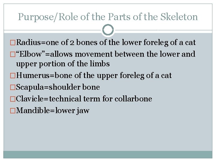 Purpose/Role of the Parts of the Skeleton �Radius=one of 2 bones of the lower