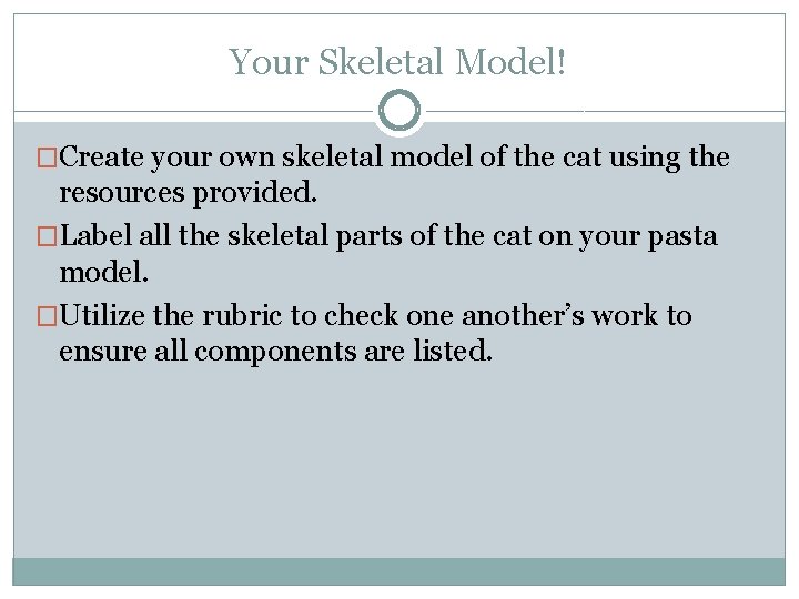 Your Skeletal Model! �Create your own skeletal model of the cat using the resources