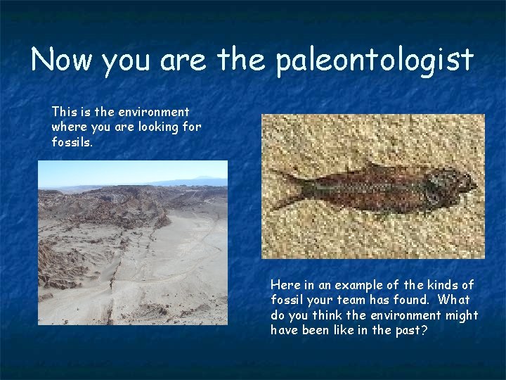 Now you are the paleontologist This is the environment where you are looking for