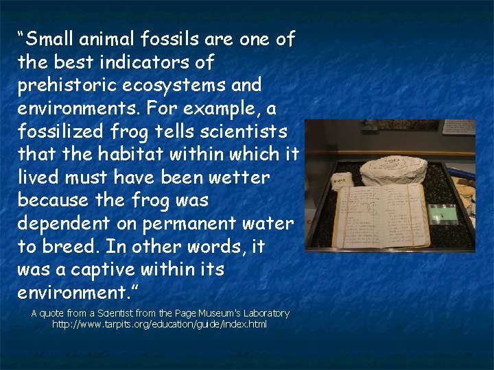 “Small animal fossils are one of the best indicators of prehistoric ecosystems and environments.