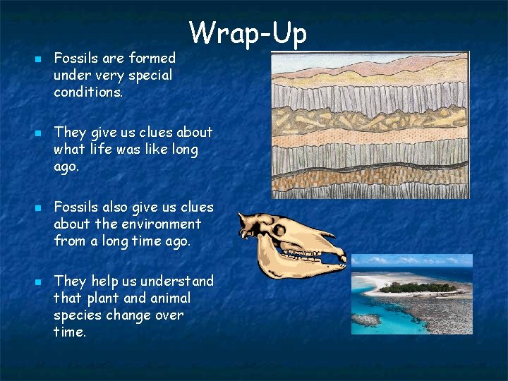 n n Fossils are formed under very special conditions. Wrap-Up They give us clues