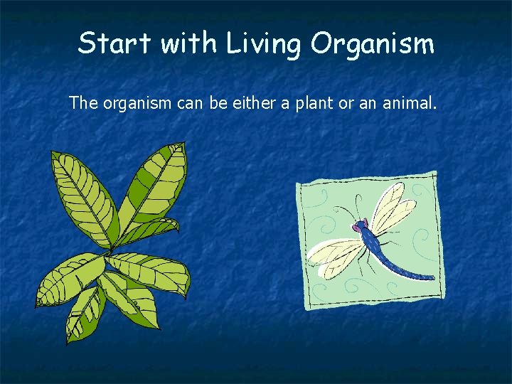 Start with Living Organism The organism can be either a plant or an animal.