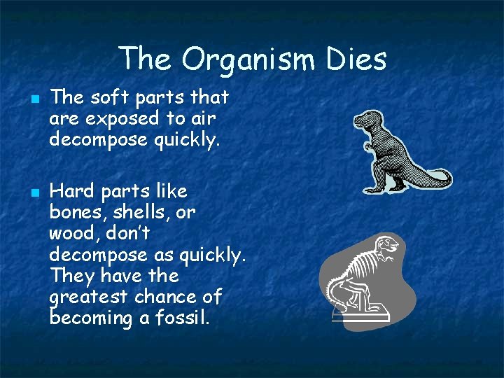 The Organism Dies n n The soft parts that are exposed to air decompose