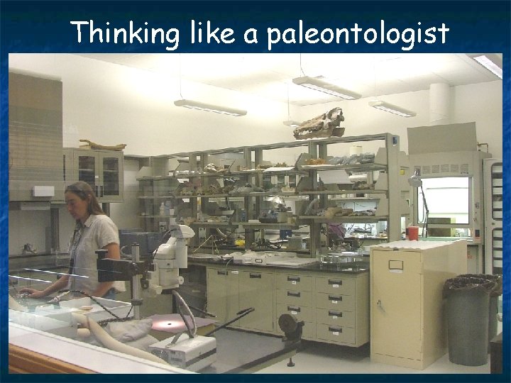 Thinking like a paleontologist 