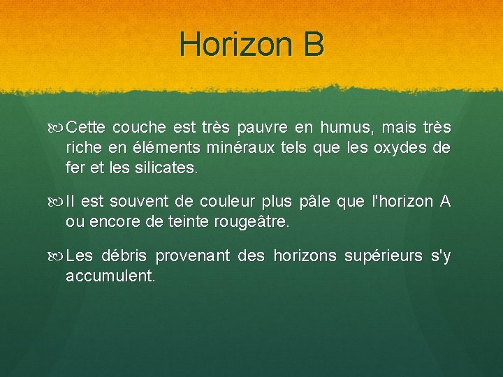 Horizon B Cette couche est très pauvre en humus, mais très riche en éléments