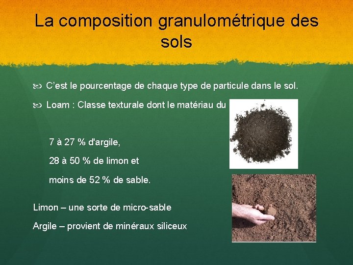 La composition granulométrique des sols C’est le pourcentage de chaque type de particule dans