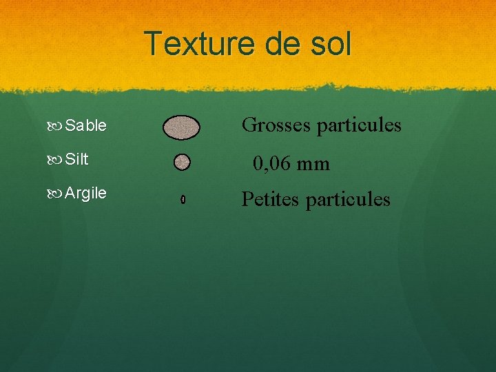 Texture de sol Sable Silt Argile Grosses particules 0, 06 mm Petites particules 