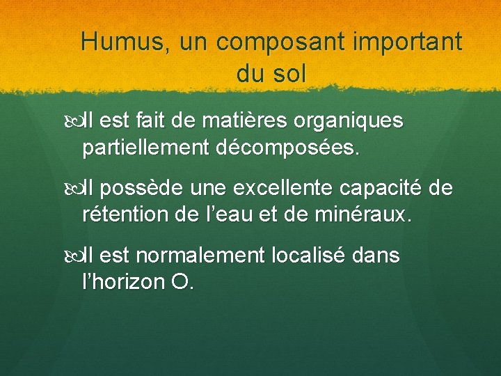 Humus, un composant important du sol Il est fait de matières organiques partiellement décomposées.