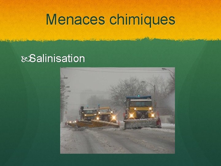 Menaces chimiques Salinisation 