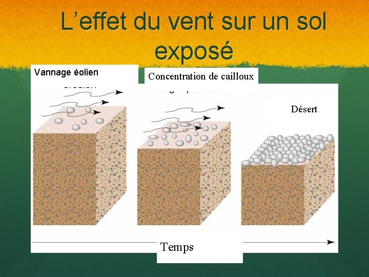 L’effet du vent sur un sol exposé Vannage éolien Concentration de cailloux Désert Temps