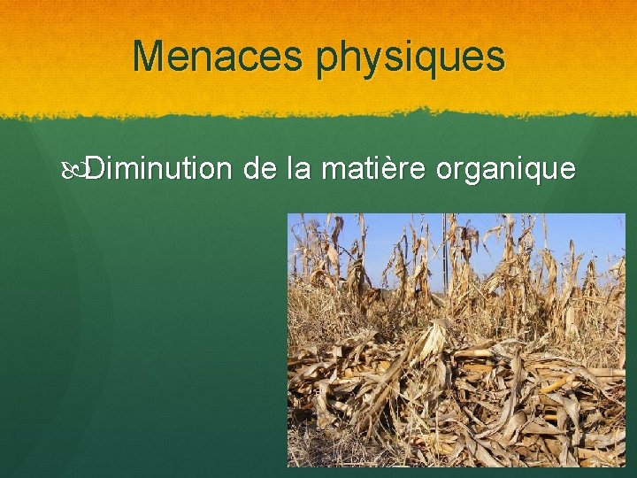 Menaces physiques Diminution de la matière organique 