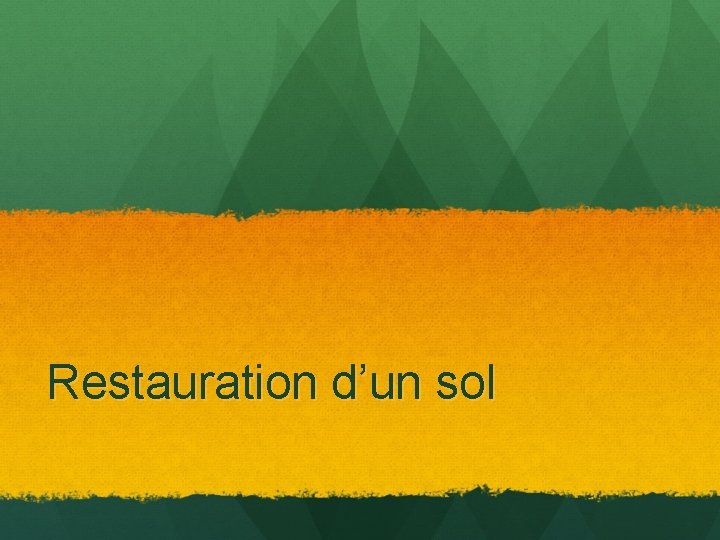 Restauration d’un sol 