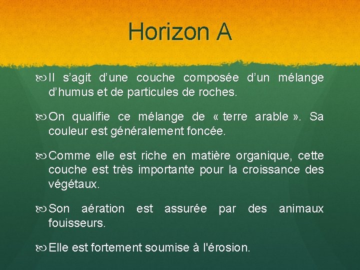 Horizon A Il s’agit d’une couche composée d’un mélange d’humus et de particules de