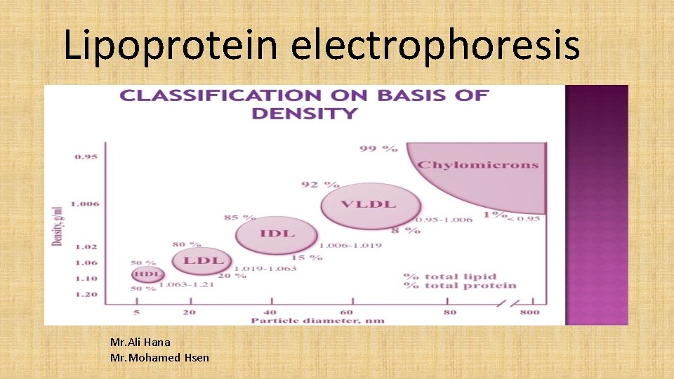 Lipoprotein electrophoresis Mr. Ali Hana Mr. Mohamed Hsen 