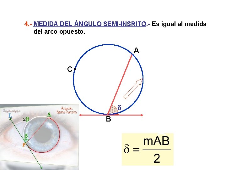 4. - MEDIDA DEL ÁNGULO SEMI-INSRITO. - Es igual al medida del arco opuesto.