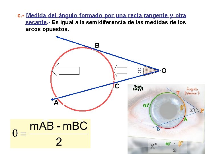 c. - Medida del ángulo formado por una recta tangente y otra secante. -