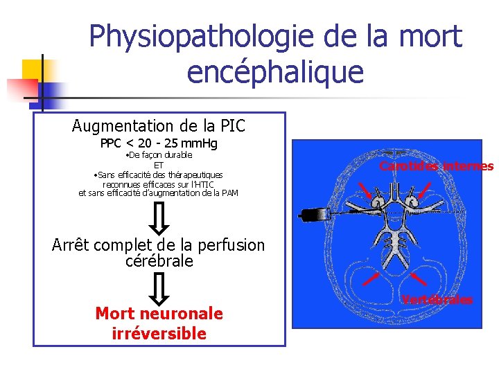 Physiopathologie de la mort encéphalique Augmentation de la PIC PPC < 20 - 25 Physiopathologie de la mort encéphalique Augmentation de la PIC PPC < 20 - 25
