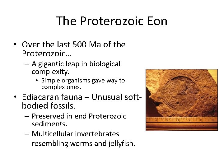 The Proterozoic Eon • Over the last 500 Ma of the Proterozoic… – A