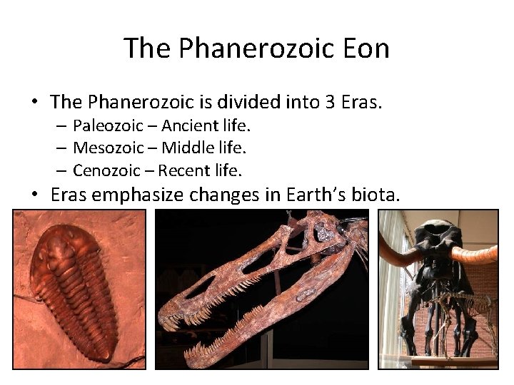 The Phanerozoic Eon • The Phanerozoic is divided into 3 Eras. – Paleozoic –