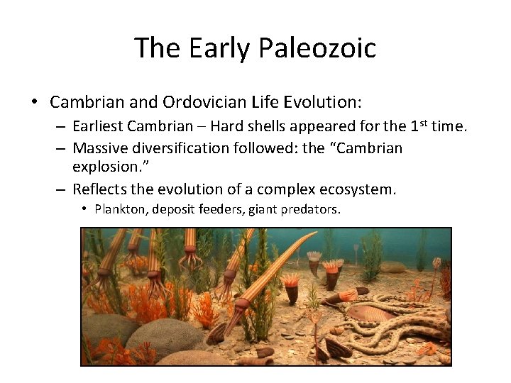 The Early Paleozoic • Cambrian and Ordovician Life Evolution: – Earliest Cambrian – Hard
