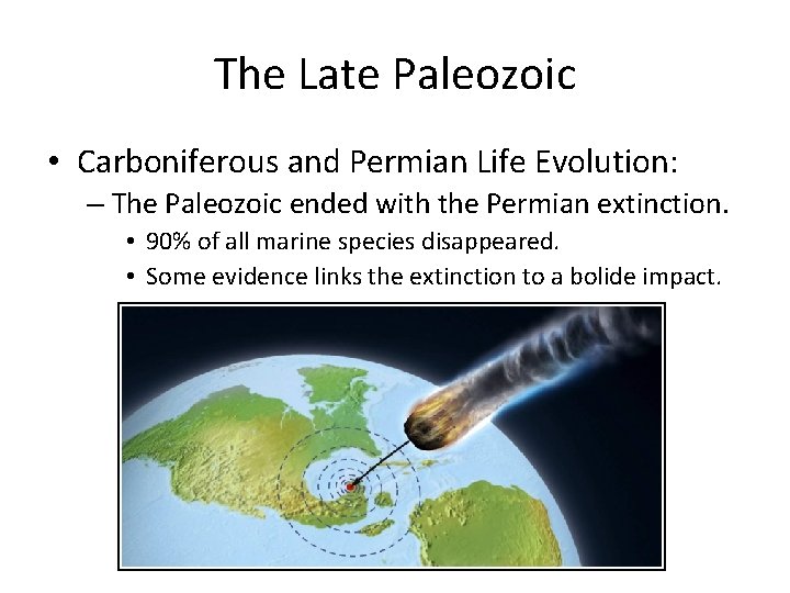The Late Paleozoic • Carboniferous and Permian Life Evolution: – The Paleozoic ended with