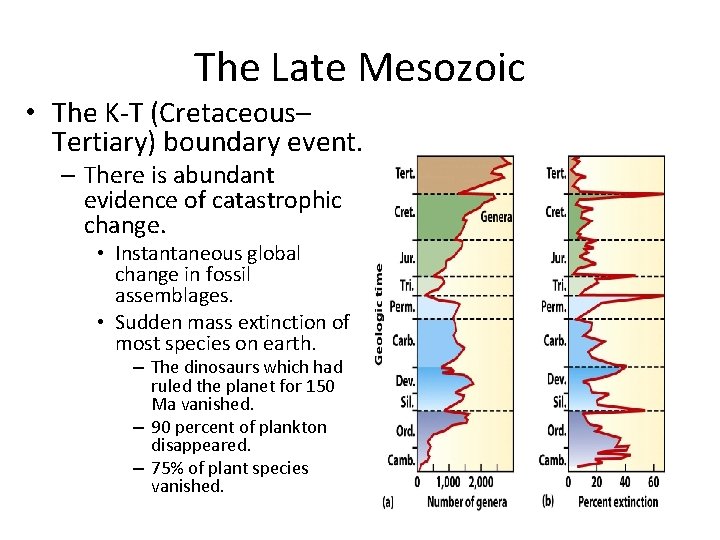 The Late Mesozoic • The K-T (Cretaceous– Tertiary) boundary event. – There is abundant