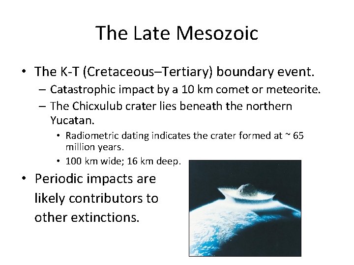 The Late Mesozoic • The K-T (Cretaceous–Tertiary) boundary event. – Catastrophic impact by a